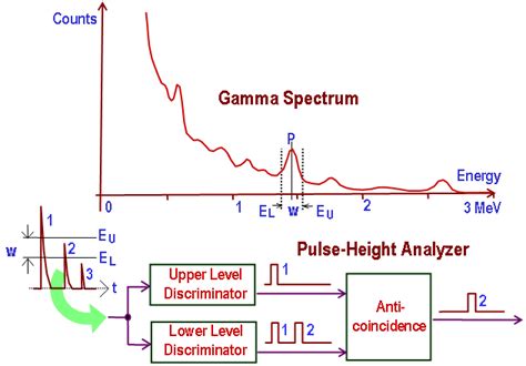 multichannel analyzer|pulse height analyzer.